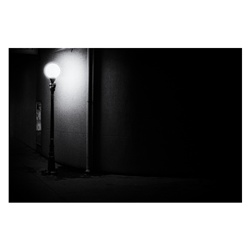 dailyPhoto4