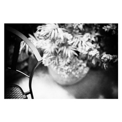 dailyPhoto20