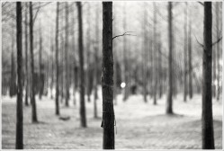dailyPhoto1