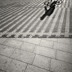 dailyPhoto32