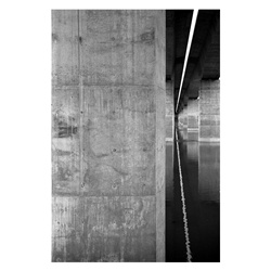 dailyPhoto35