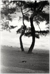 dailyPhoto9