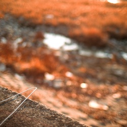 dailyPhoto14