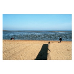 dailyPhoto30
