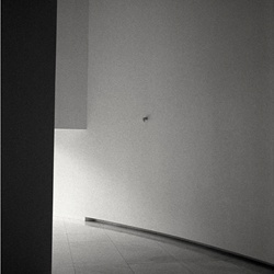 dailyPhoto37