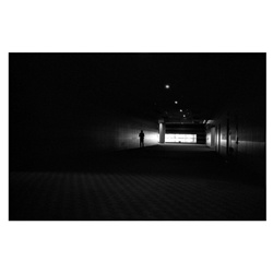 dailyPhoto30