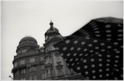 dailyPhoto6