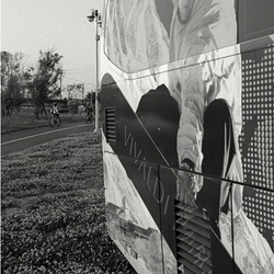dailyPhoto40