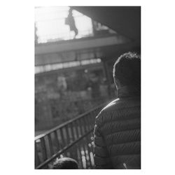 dailyPhoto35