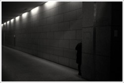 dailyPhoto9