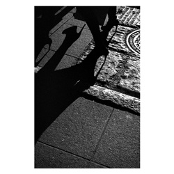dailyPhoto30