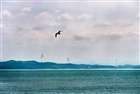 dailyPhoto40