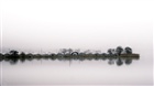 dailyPhoto5