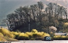 dailyPhoto30