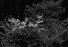 dailyPhoto31