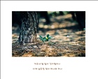dailyPhoto8