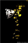 dailyPhoto6