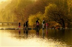 dailyPhoto2