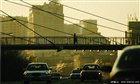 dailyPhoto1