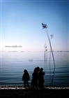 dailyPhoto11