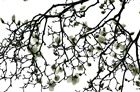 dailyPhoto4