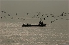 dailyPhoto25