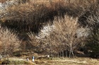 dailyPhoto5