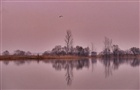 dailyPhoto32