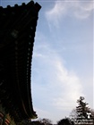 dailyPhoto36