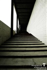dailyPhoto6