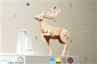 dailyPhoto8