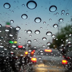 dailyPhoto19