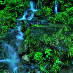 dailyPhoto3