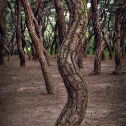 dailyPhoto27