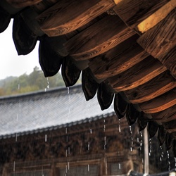 dailyPhoto10