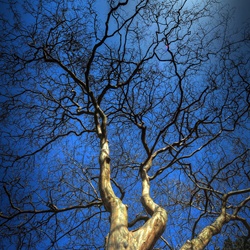 dailyPhoto11