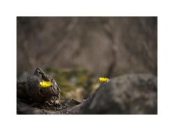 dailyPhoto8