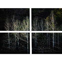 dailyPhoto34