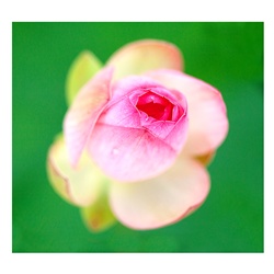 dailyPhoto21