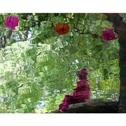 dailyPhoto29