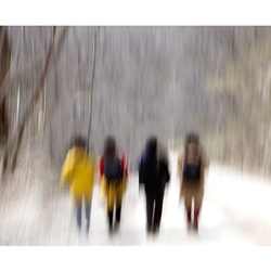 dailyPhoto11