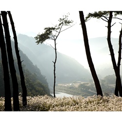 dailyPhoto9