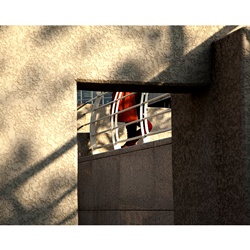 dailyPhoto5