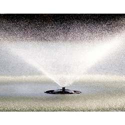 dailyPhoto9