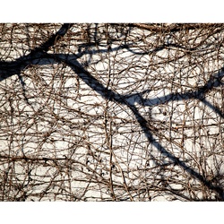 dailyPhoto26