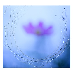 dailyPhoto37