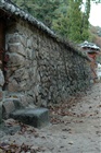 dailyPhoto7