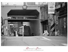dailyPhoto1