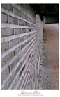 dailyPhoto27
