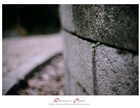 dailyPhoto29